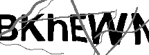 Loading CAPTCHA Image...
